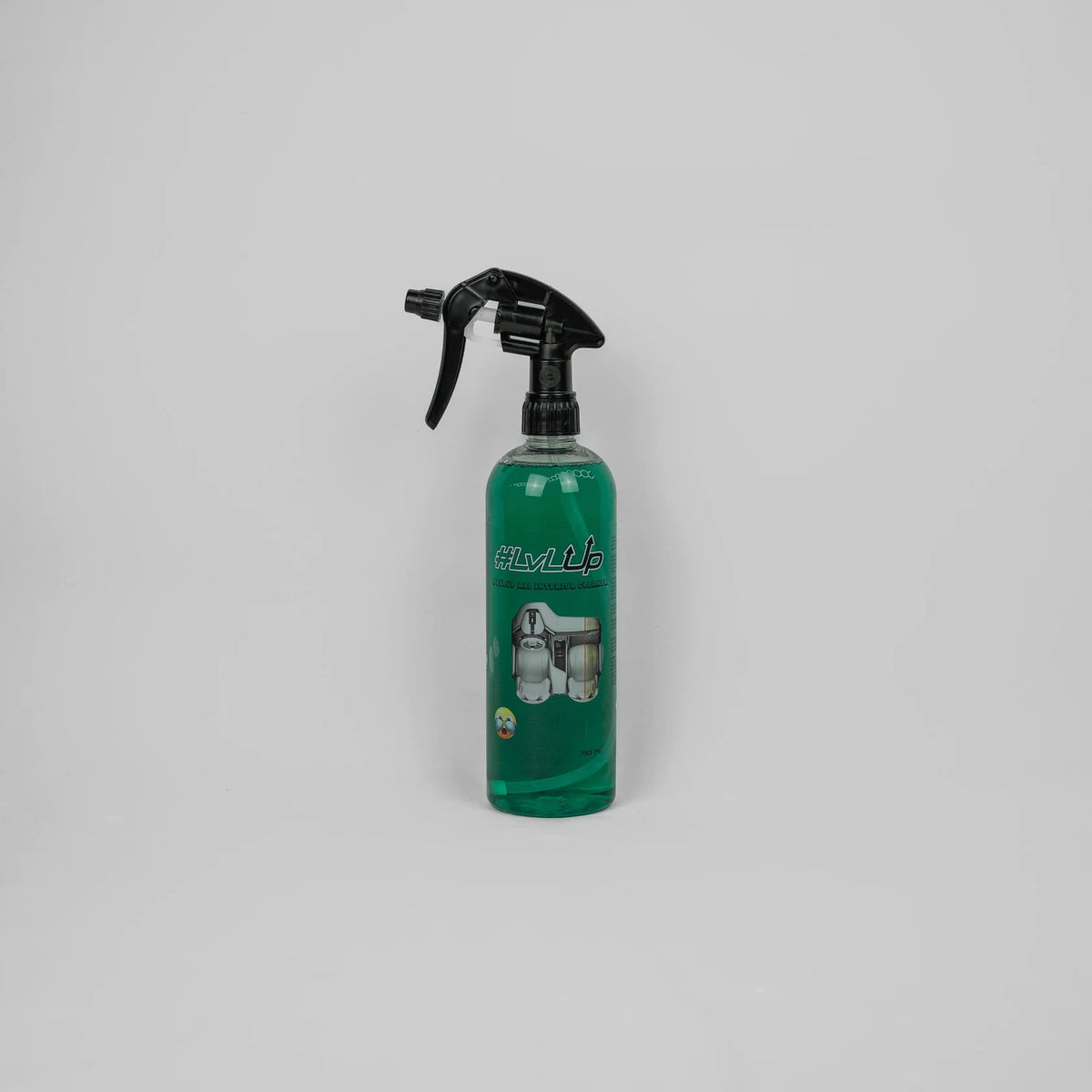 LvLInteriorCleaner